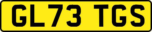 GL73TGS