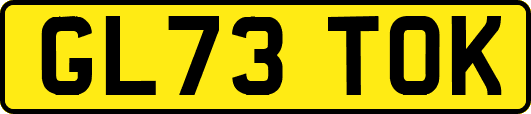 GL73TOK