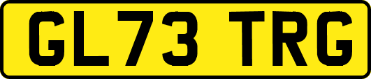 GL73TRG