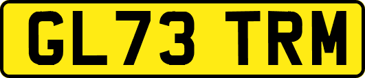 GL73TRM