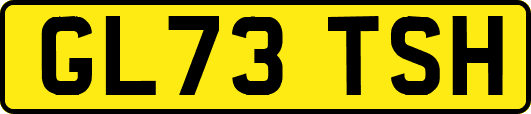 GL73TSH