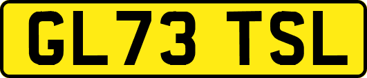 GL73TSL
