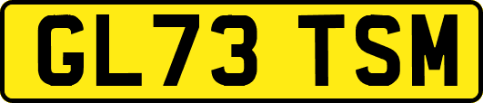 GL73TSM
