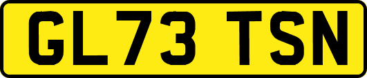 GL73TSN