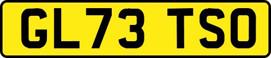GL73TSO