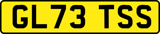 GL73TSS