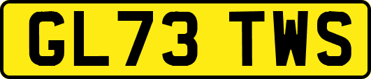 GL73TWS