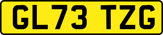 GL73TZG