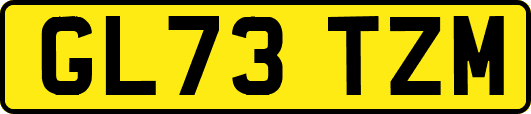 GL73TZM