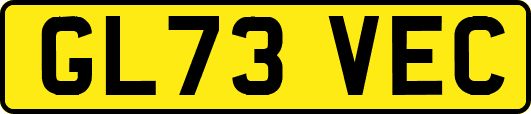 GL73VEC