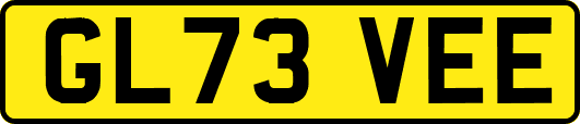 GL73VEE