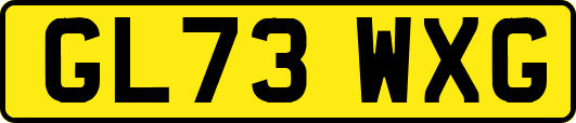 GL73WXG