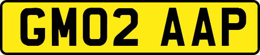 GM02AAP