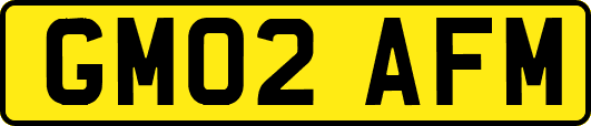 GM02AFM