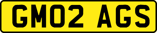 GM02AGS