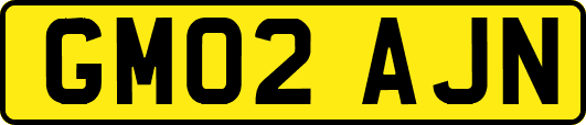 GM02AJN