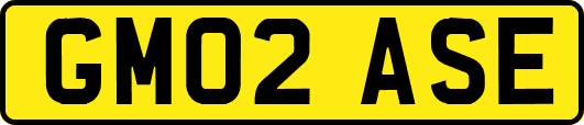 GM02ASE