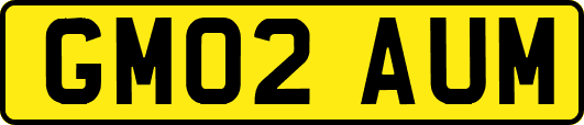 GM02AUM