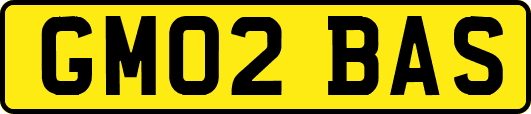 GM02BAS