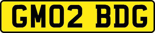 GM02BDG