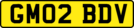 GM02BDV