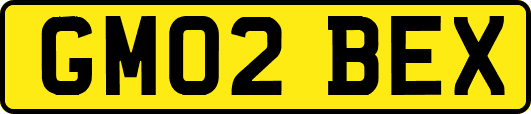 GM02BEX