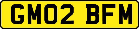 GM02BFM