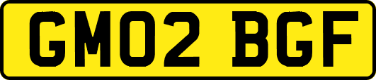GM02BGF