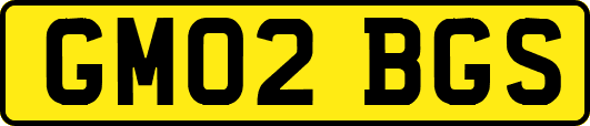 GM02BGS