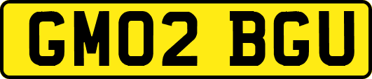 GM02BGU