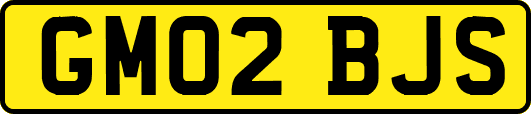 GM02BJS