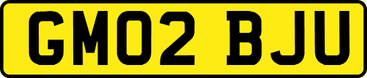 GM02BJU