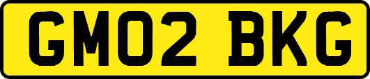 GM02BKG