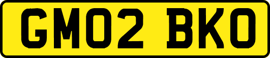 GM02BKO