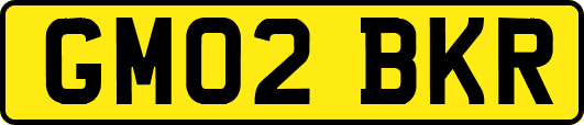 GM02BKR