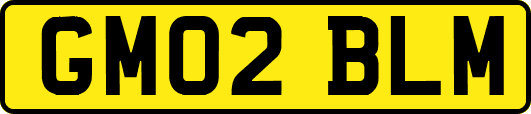 GM02BLM