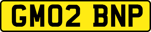 GM02BNP