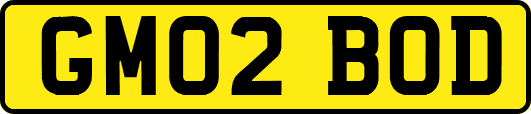 GM02BOD