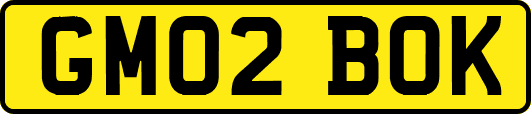 GM02BOK