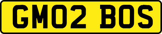 GM02BOS
