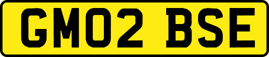 GM02BSE