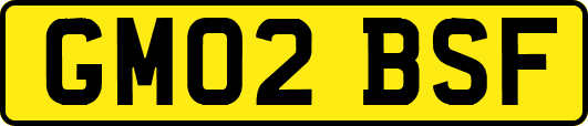 GM02BSF