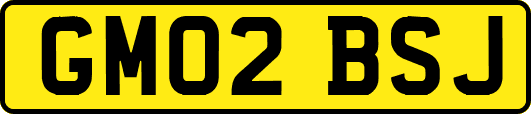 GM02BSJ