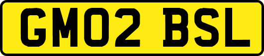 GM02BSL