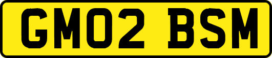 GM02BSM
