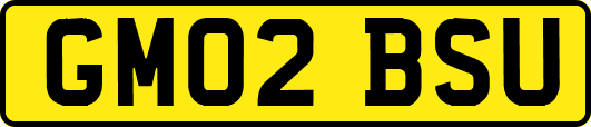 GM02BSU