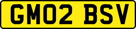 GM02BSV