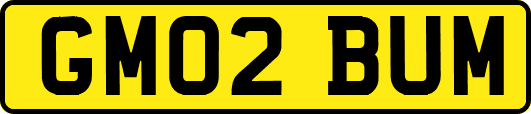 GM02BUM