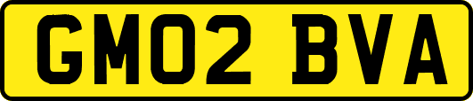 GM02BVA