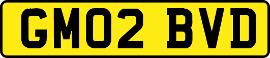 GM02BVD